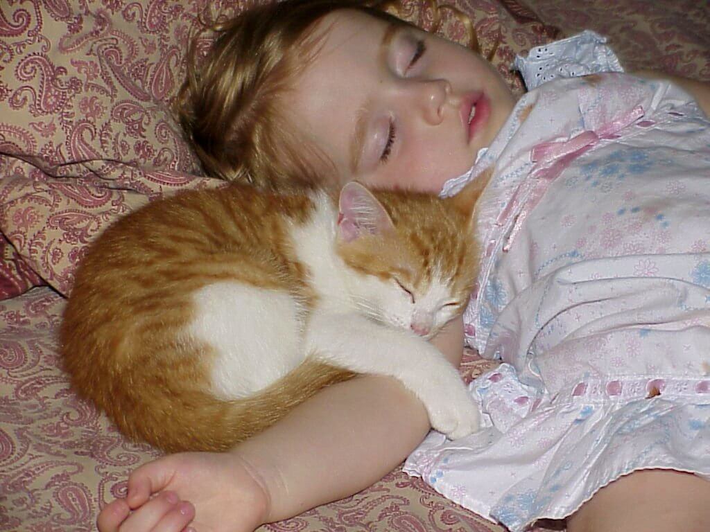 Beba i mačka spavaju