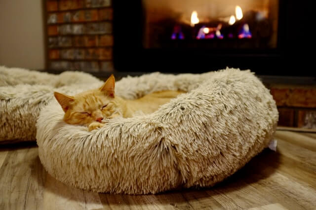 Kreveti za mačke