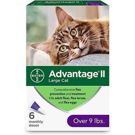 Bayer Advantage Cat 4-8kg 1Kom, Ampula SpotOn za mačke protiv buva