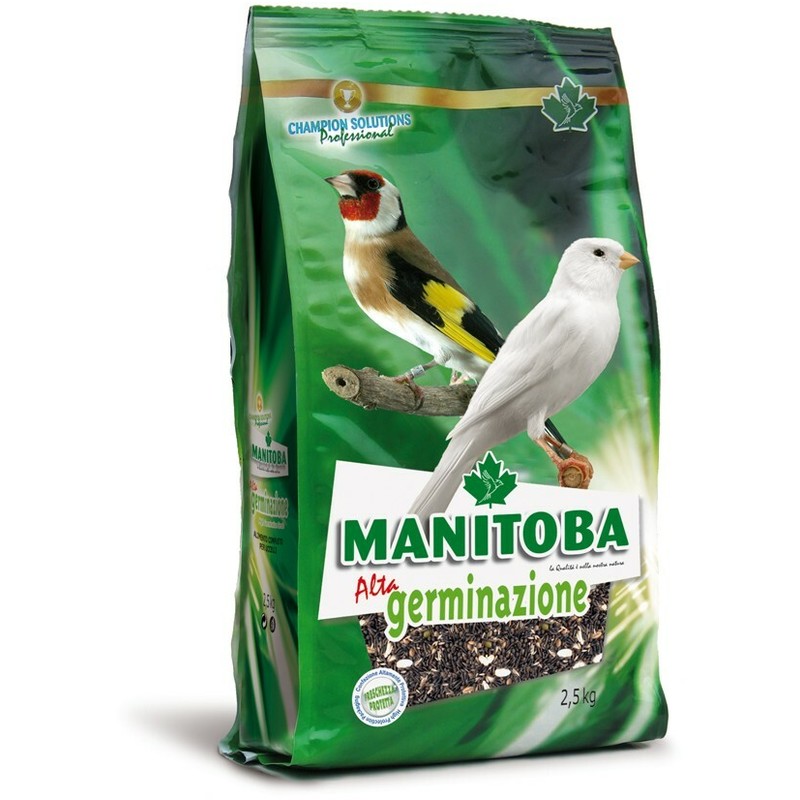 Manitoba High Germination 2.5kg