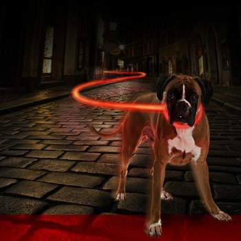 Duvo+ Ogrlica za pse, svetleća Usb Silicon 45cm crvena