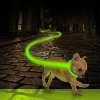 Duvo+ Ogrlica za pse, svetleća Usb Nylon 35Cm zelena