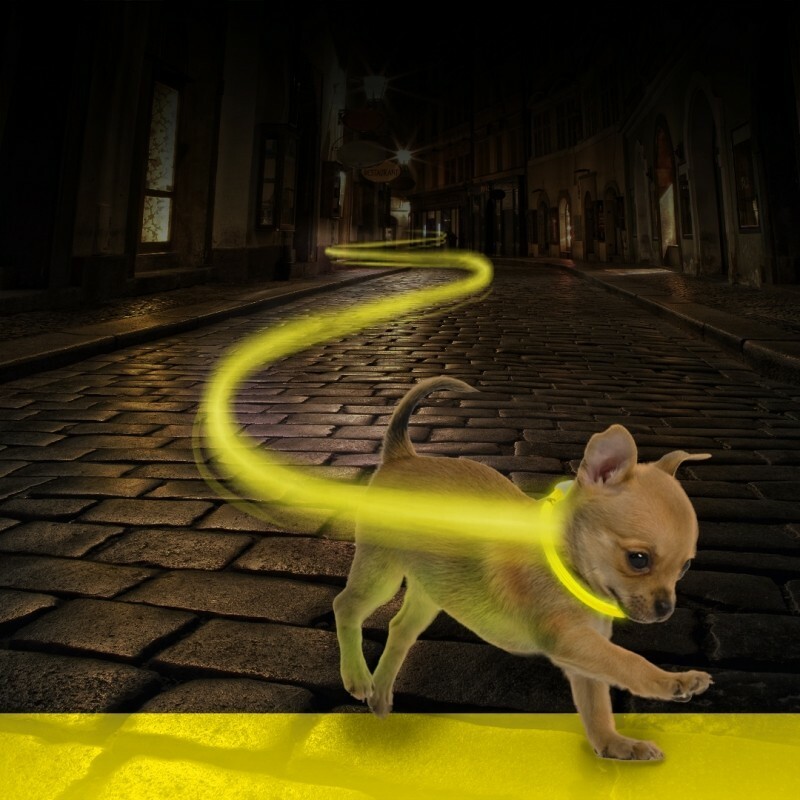 Duvo+ Ogrlica za pse Nylon Licht Usb 30-40cm/2,5cm Neon žuta