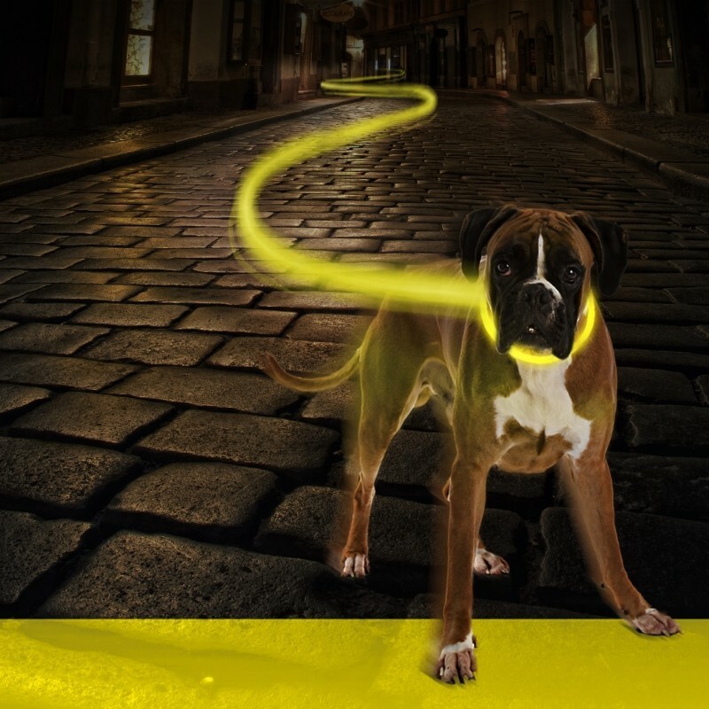 Duvo+ Ogrlica za pse Flash Light Usb Nylon 50-70cm/2.5cm Neon žuta