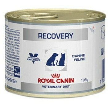 Hrana za pse Royal Canin Recovery Dog /C195g konz