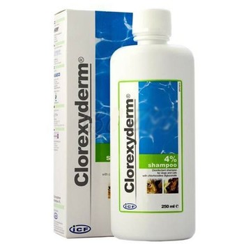 I.C.F. Šampon Cloroxyderm 4%
