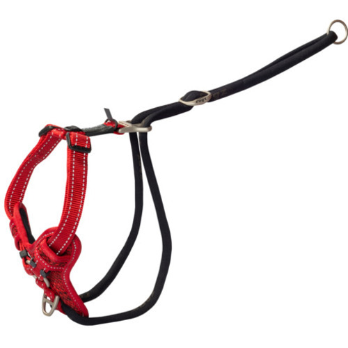 Rogz Utility Stop Pull Tuig Am L Red