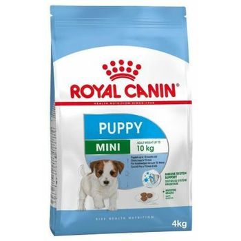 Royal Canin Mini pappy 4kg