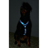 Rogz Lumberjack reflektujući am XL Plavi