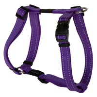 Rogz Fanbelt reflektujući am L Ljubičasti