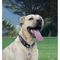 Rogz Armed Response klasična ogrlica Hound Dog Black
