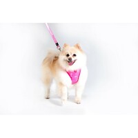 Rogz Povodac za psa FIXED LONG LEAD 16MM Pink Bones M