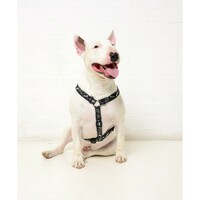 Rogz Armed Response klasični am XL Black Bone