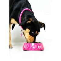 Rogz Činija Bubble Bowlz L Pink Paw