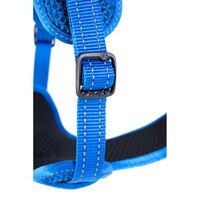 Rogz Explore Fanbelt postavljeni am L Plavi