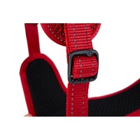 Rogz Explore Fanbelt postavljeni am L Crveni