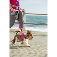 Rogz Fast-Fit am Pink XS