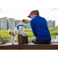 Rogz Fast-Fit am Plavi S