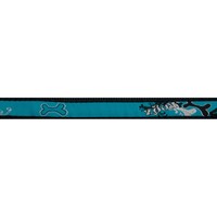 Rogz Scooter produženi povodac Turquoise Chrome
