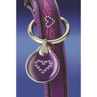 Rogz Armed Response klasična ogrlica Purple Chrome 25mm - 1