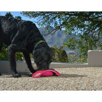 Rogz Činija Luna Bowlz L Pink