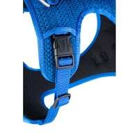 Rogz Explore Fanbelt postavljeni am L Plavi