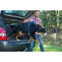 Rogz Explore Lumberjack postavljeni am XL Plavi