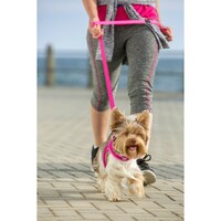 Rogz Fast-Fit am Pink XS