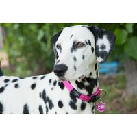 Rogz Lumberjack reflektujuća ogrlica Pink