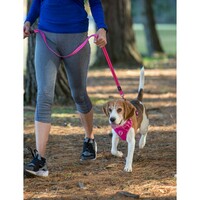 Rogz Explore Snake postavljeni am M Pink