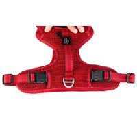 Rogz Explore Fanbelt postavljeni am L Crveni