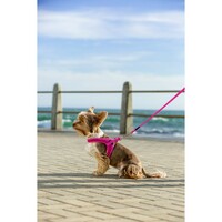 Rogz Fast-Fit am Pink XS