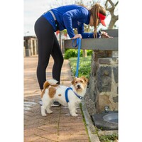 Rogz Fast-Fit am Plavi S