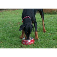 Rogz Činija Bubble Bowlz L Red Heart