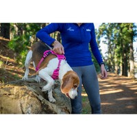 Rogz Explore Snake postavljeni am M Pink