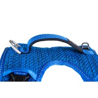 Rogz Explore Fanbelt postavljeni am L Plavi