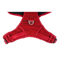 Rogz Explore Fanbelt postavljeni am L Crveni