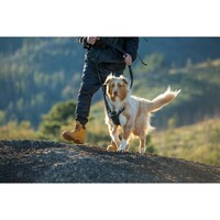 Rogz Explore Fanbelt postavljeni am L Crni