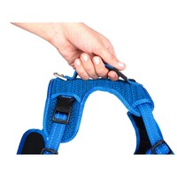 Rogz Explore Fanbelt postavljeni am L Plavi