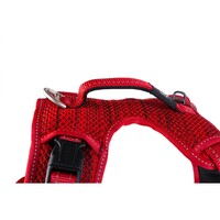 Rogz Explore Fanbelt postavljeni am L Crveni