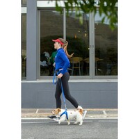 Rogz Fast-Fit am Plavi S