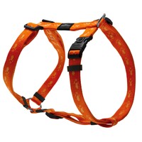 Rogz Everest klasični am XL Narandžasti