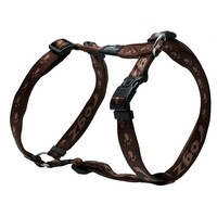 Rogz Everest klasični am XL Čokolada