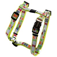 Rogz Trendy klasični am za štence Multi Bones M
