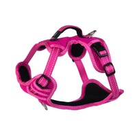 Rogz Explore Nitelife postavljeni am S Pink