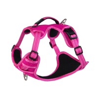 Rogz Explore Snake postavljeni am M Pink