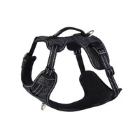Rogz Explore Fanbelt postavljeni am L Crni
