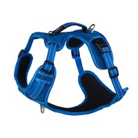 Rogz Explore Fanbelt postavljeni am L Plavi