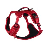 Rogz Explore Fanbelt postavljeni am L Crveni