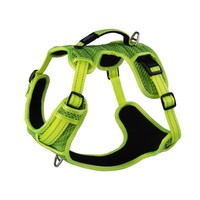 Rogz Explore Fanbelt postavljeni am L Zeleni